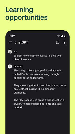 ChatGPT screenshot 6