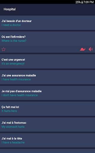 Travel Phrases screenshot 14