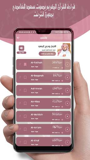 سعد الغامدي قرآن بدون نت‎ ® screenshot 3