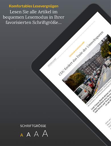 RP ePaper screenshot 9
