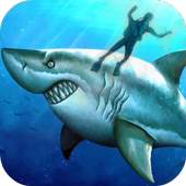 Shark Hunter World 1.1