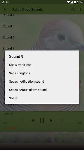 Bird Sounds : Zebra Dove screenshot 1