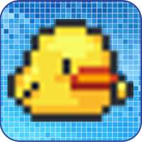 Stupid Bird