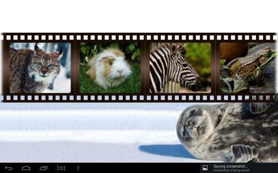 Best Funny Animals Sounds screenshot 2