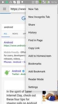 web browser screenshot 3