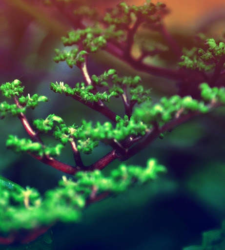 Spring Wallpapers HD screenshot 10