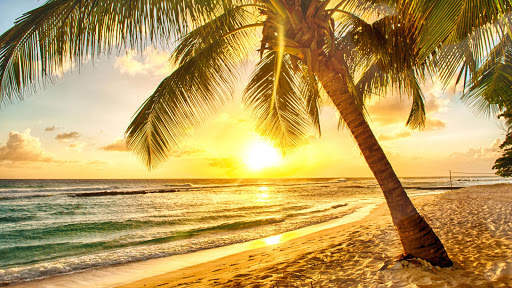 Beach Live Wallpaper (Wallpapers & Backgrounds) screenshot 12