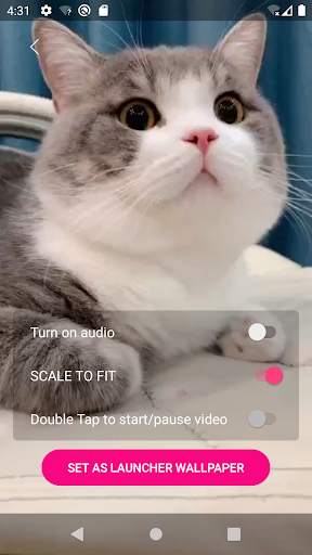 Video Wallpaper screenshot 7
