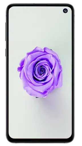 Wallpapers HD screenshot 7