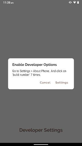 Developer Settings screenshot 3