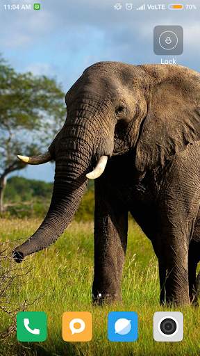 Elephant Wallpaper screenshot 15