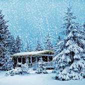 Snow Fall Live Wallpaper on 9Apps