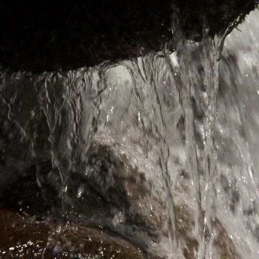 Aquatic wall live wallpaper 1.4