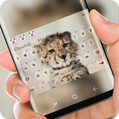 Cute Cheetah Keyboad Theme icon