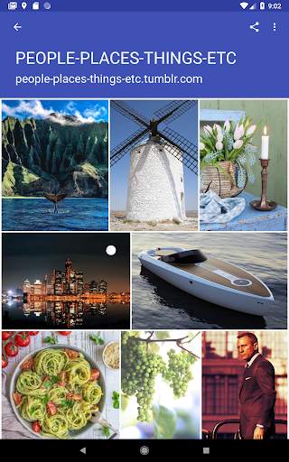 Photo & Video Explorer and Downloader for Tumblr screenshot 11