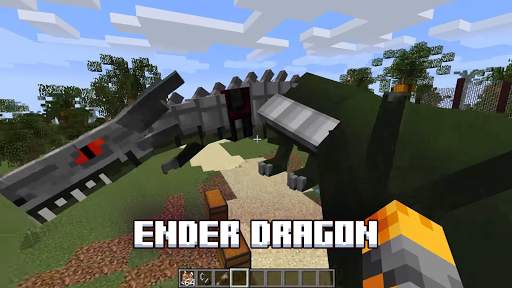 Dragons Mods for Minecraft ™ screenshot 5