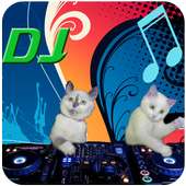kumpulan lagu-lagu dj : terbaru on 9Apps
