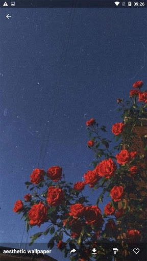 Aesthetic wallpaper screenshot 4