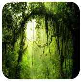 Toile 91 Launcher Pro Theme