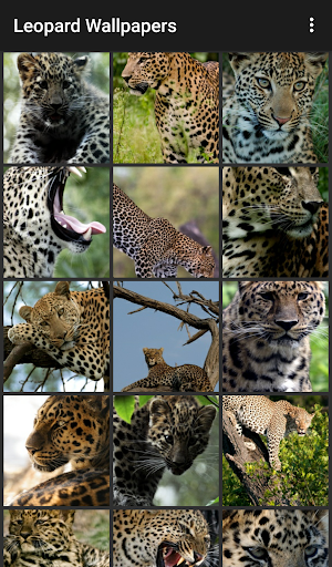 Leopard Wallpapers screenshot 1
