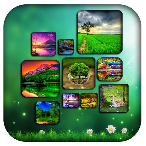 Photo Collage 1.5