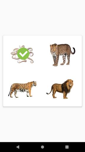 Doman Cards screenshot 8