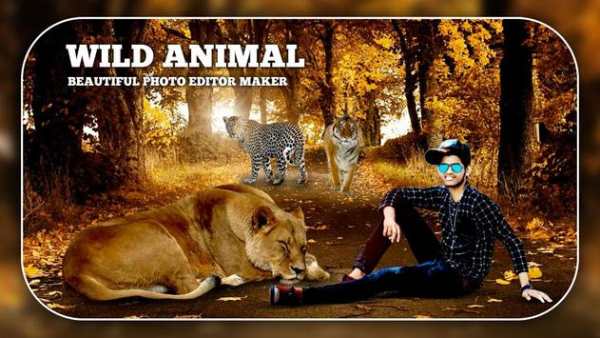 Wild Animal Photo Editor 3 تصوير الشاشة
