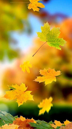 Autumn wallpaper screenshot 4