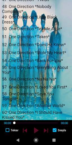 One Direction Old and New Songs Offline screenshot 5