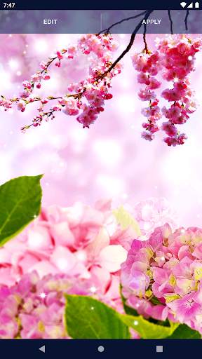 Flower Blossom Live Wallpaper screenshot 6