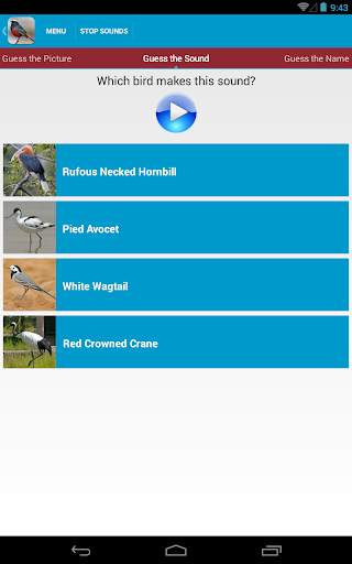Asian Birds Sounds Free screenshot 13