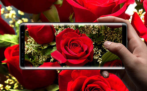 Beautiful Rose Free Live Wallpaper screenshot 8