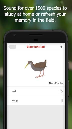 Birds of Ecuador screenshot 5