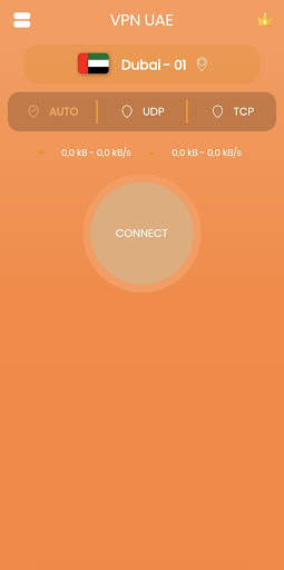 VPN UAE - Private & Secure VPN screenshot 1