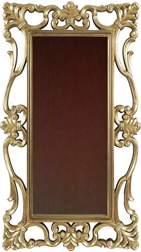 Mirror-Mirror Plus screenshot 5