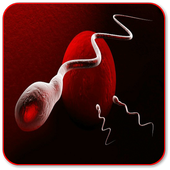Increase Your Sperm Count icon