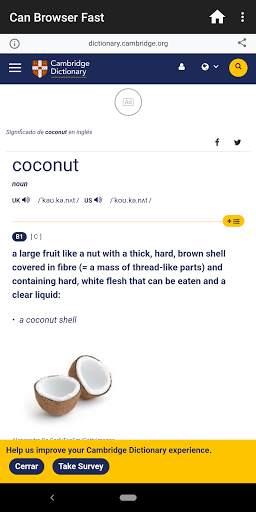 Can Browser Fast screenshot 3