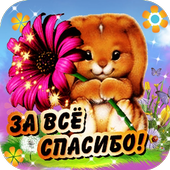 Спасибо - Красивые открытки icon