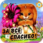 Спасибо - Красивые открытки 1.1