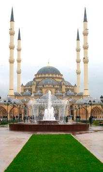 Mosque Wallpapers screenshot 3