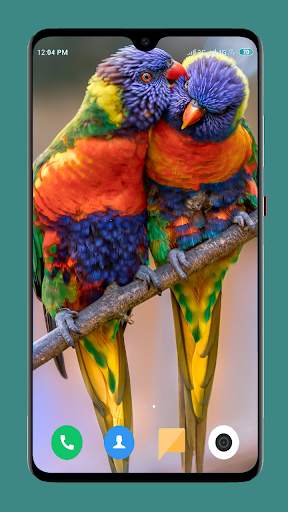 Parrot Wallpapers 4K screenshot 12