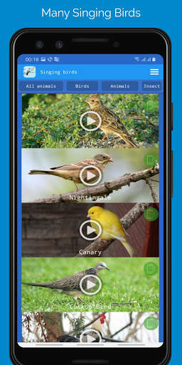 Singing Birds स्क्रीनशॉट 1