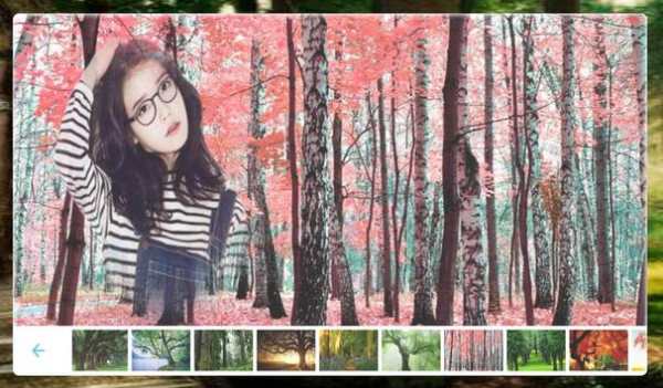Forest Photo frame screenshot 1