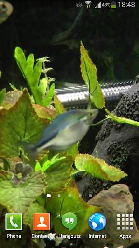 Fish Live Wallpaper HD 2 screenshot 4