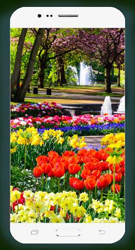 Garden Wallpaper HD screenshot 15