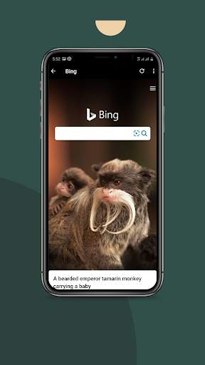 Fire Browser screenshot 7