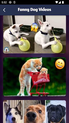 Funny Video Clips screenshot 4