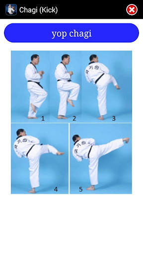 Taekwondo WTF screenshot 6