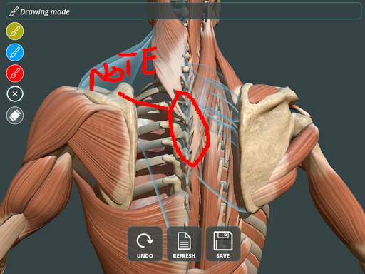 Visual Anatomy 3D | Human screenshot 11