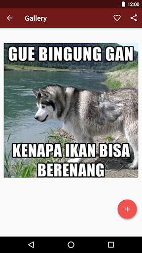 Gambar Lucu screenshot 4